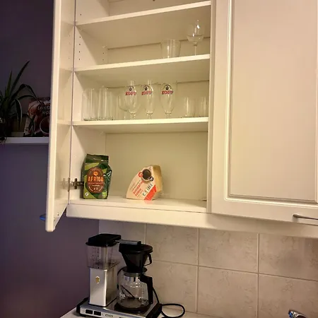 Herttua 1br - Sauna - Free Parking דירה