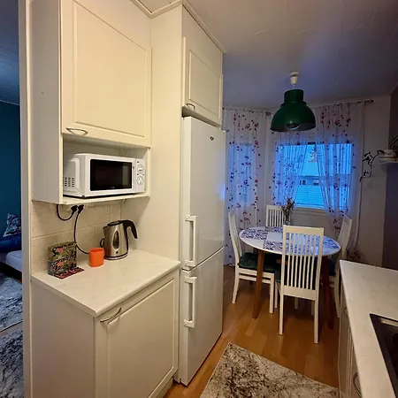 Herttua 1br - Sauna - Free Parking Apartment Pori